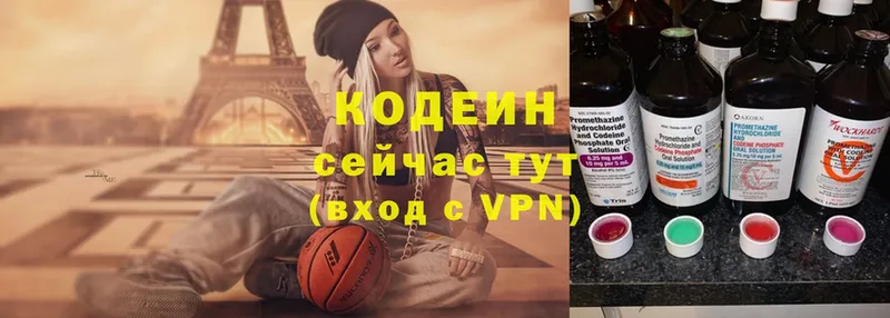 Кодеин Purple Drank  где можно купить наркотик  ссылка на мегу маркетплейс  Заводоуковск 